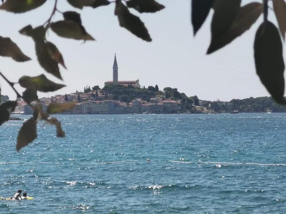 Studio Apartment Rosemary Rovinj Extérieur photo