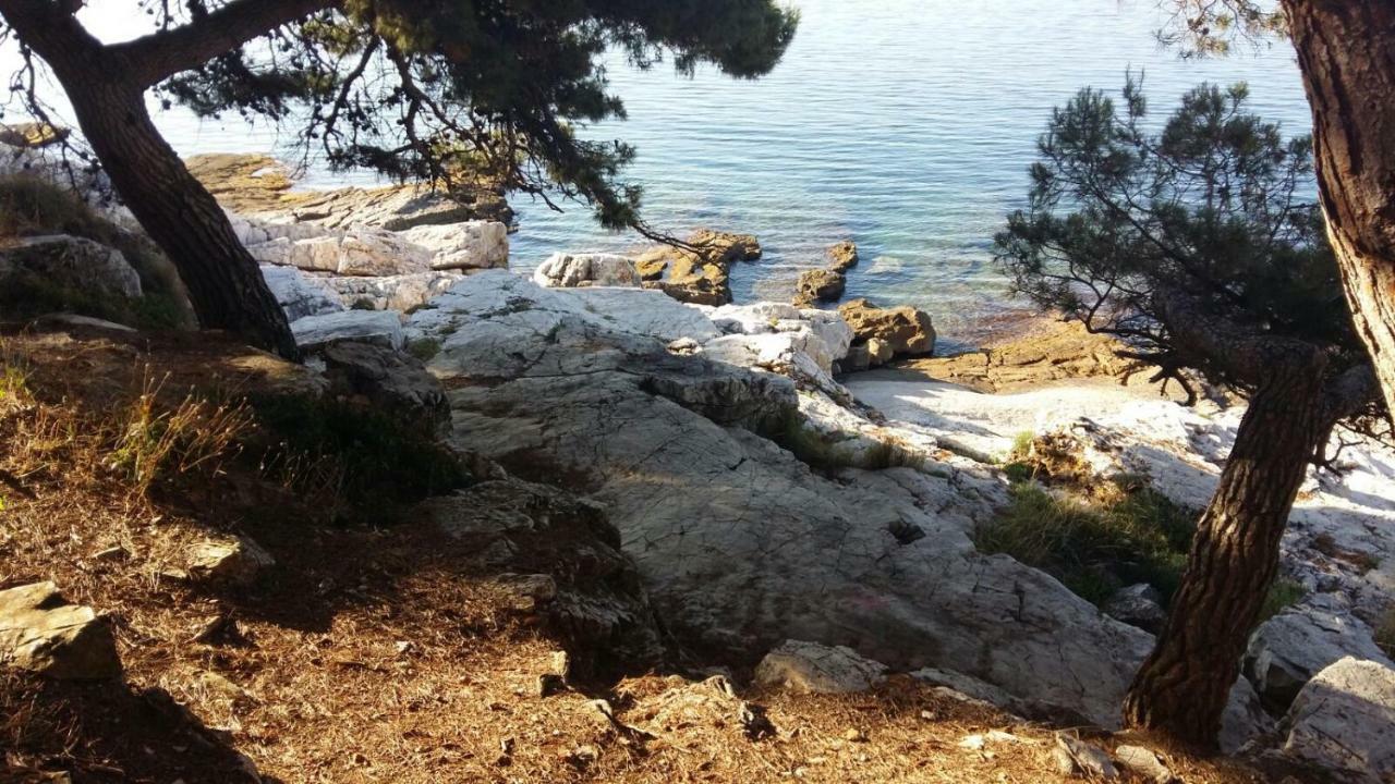 Studio Apartment Rosemary Rovinj Extérieur photo